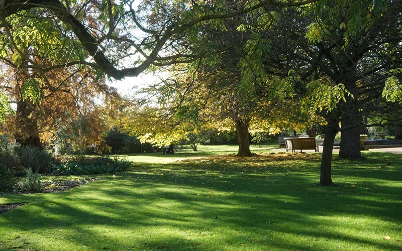 Szép kert, kiszámítható költséggel