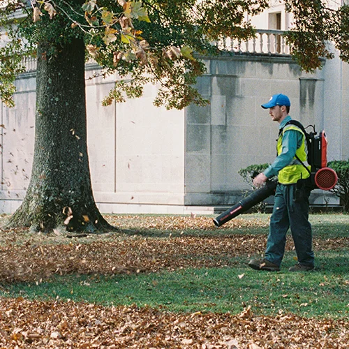 Lombtakarítás, szezonális gondozás