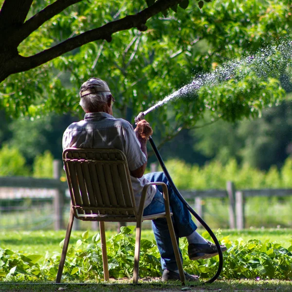 Hétvégén inkább pihennél, de a kerted könyörtelenül igényli a törődést?